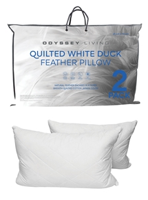 2 Pack Feather Quilted Pillows